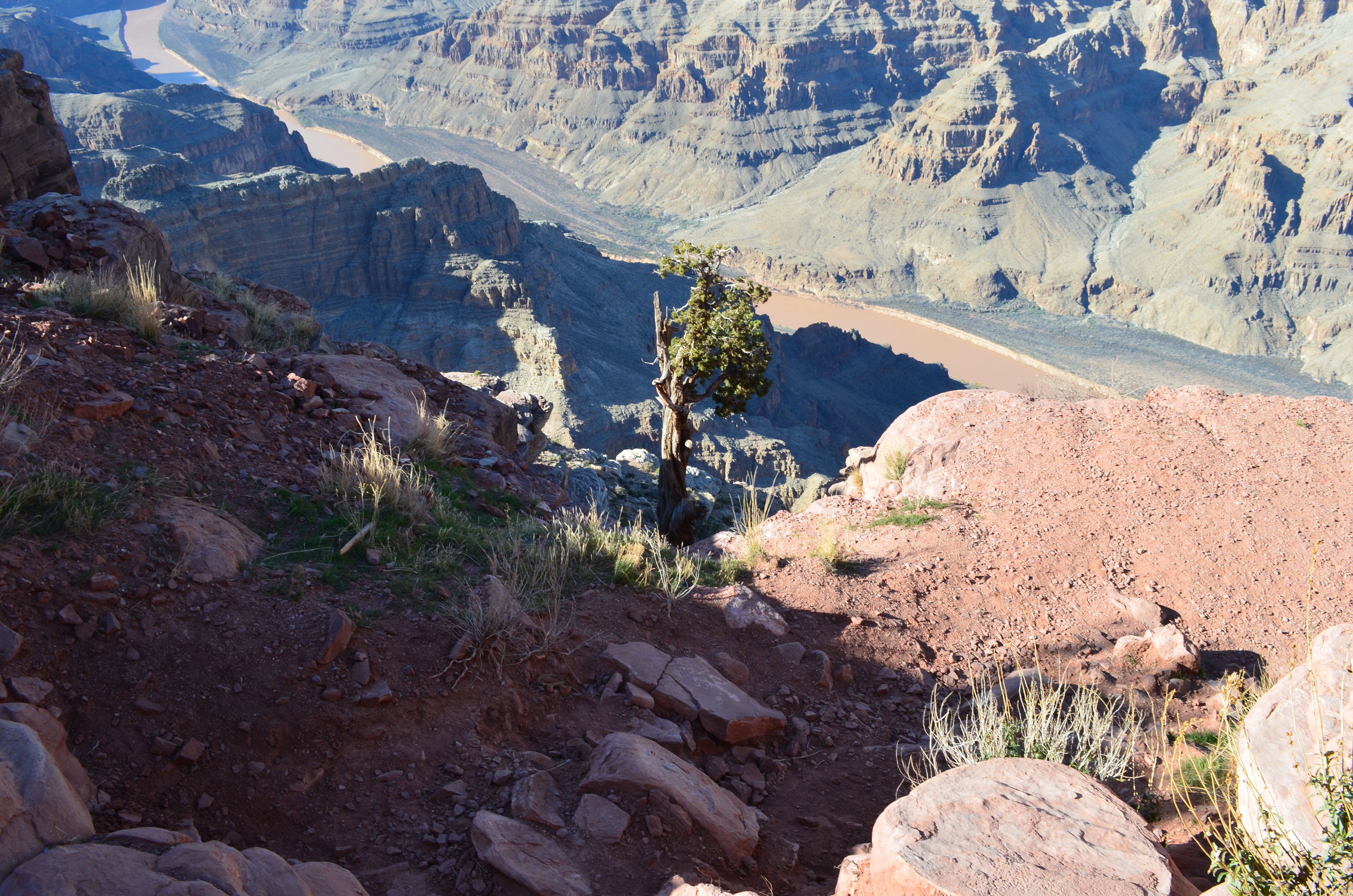 ./2016/04 - Las Vegas/Grand Canyon Skywalk/DSC_0346.JPG